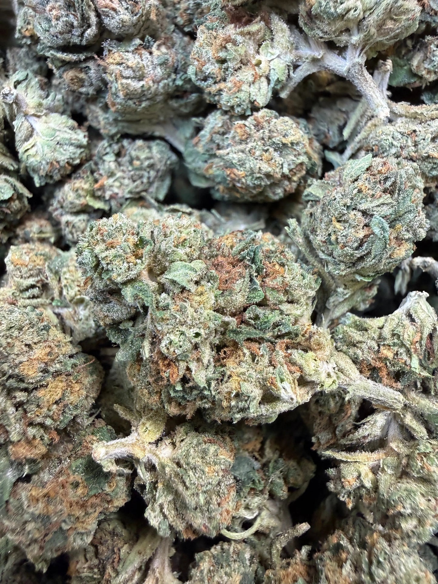 1 Pound - Obama Runtz THCA Strain Frisco Labs