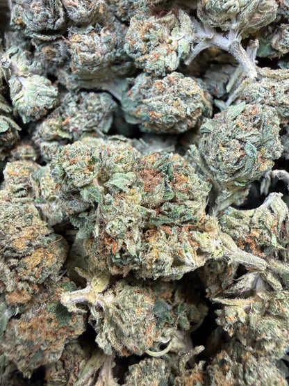 1 Pound - Obama Runtz THCA Strain Frisco Labs