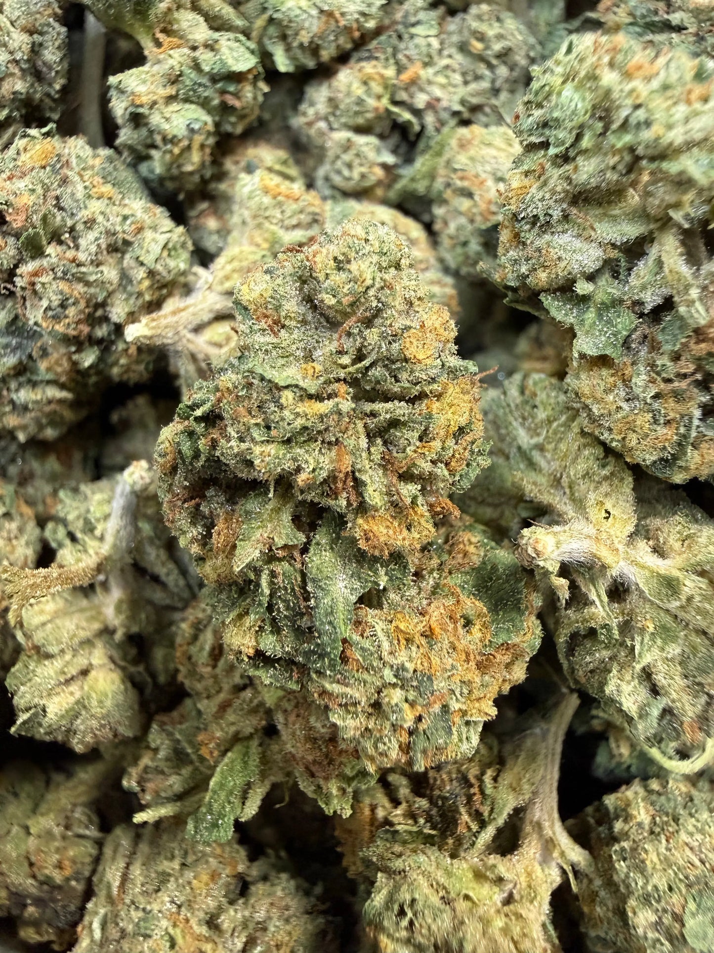 1 Pound - Obama Runtz THCA Strain Frisco Labs