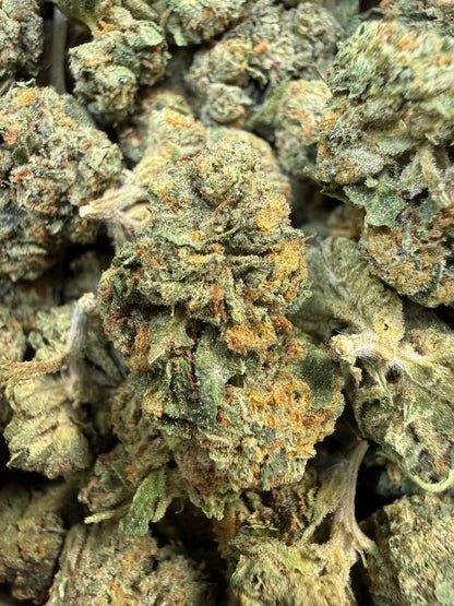 1 Pound - Obama Runtz THCA Strain Frisco Labs