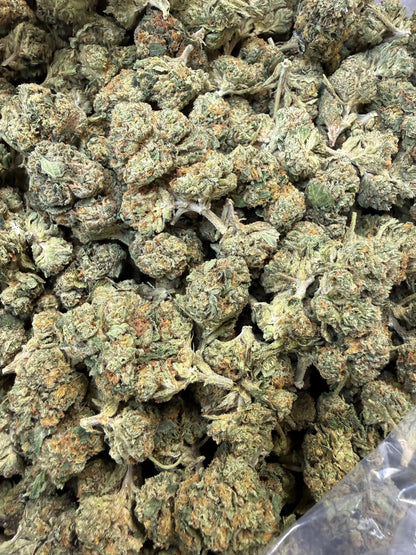 1 Pound - Obama Runtz THCA Strain Frisco Labs