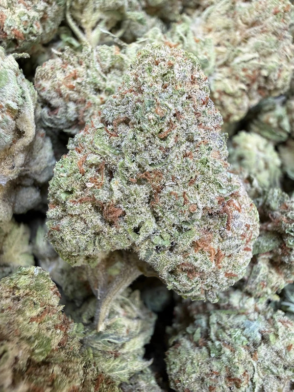 1 Pound - Papaya Fizz THCA Strain