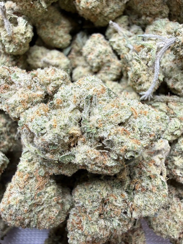 1 Pound - Papaya Fizz #2 THCA Strain