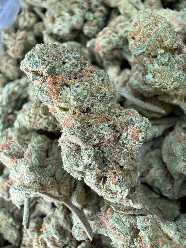 1 Pound - Peach Mimosa THCA Strain