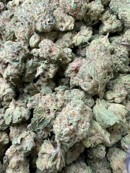 1 Pound - Permanent Chimera THCA Strain (Smalls) Frisco Labs