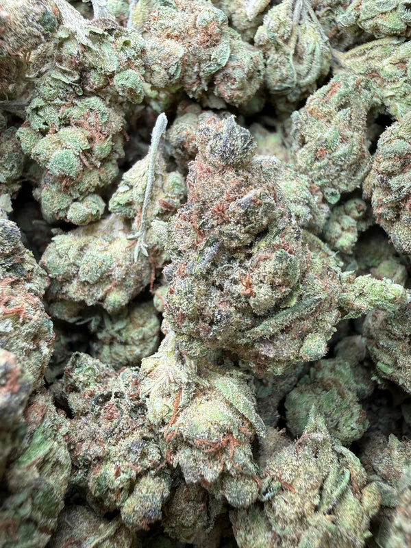 1 Pound - Pink Death Star THCA Strain