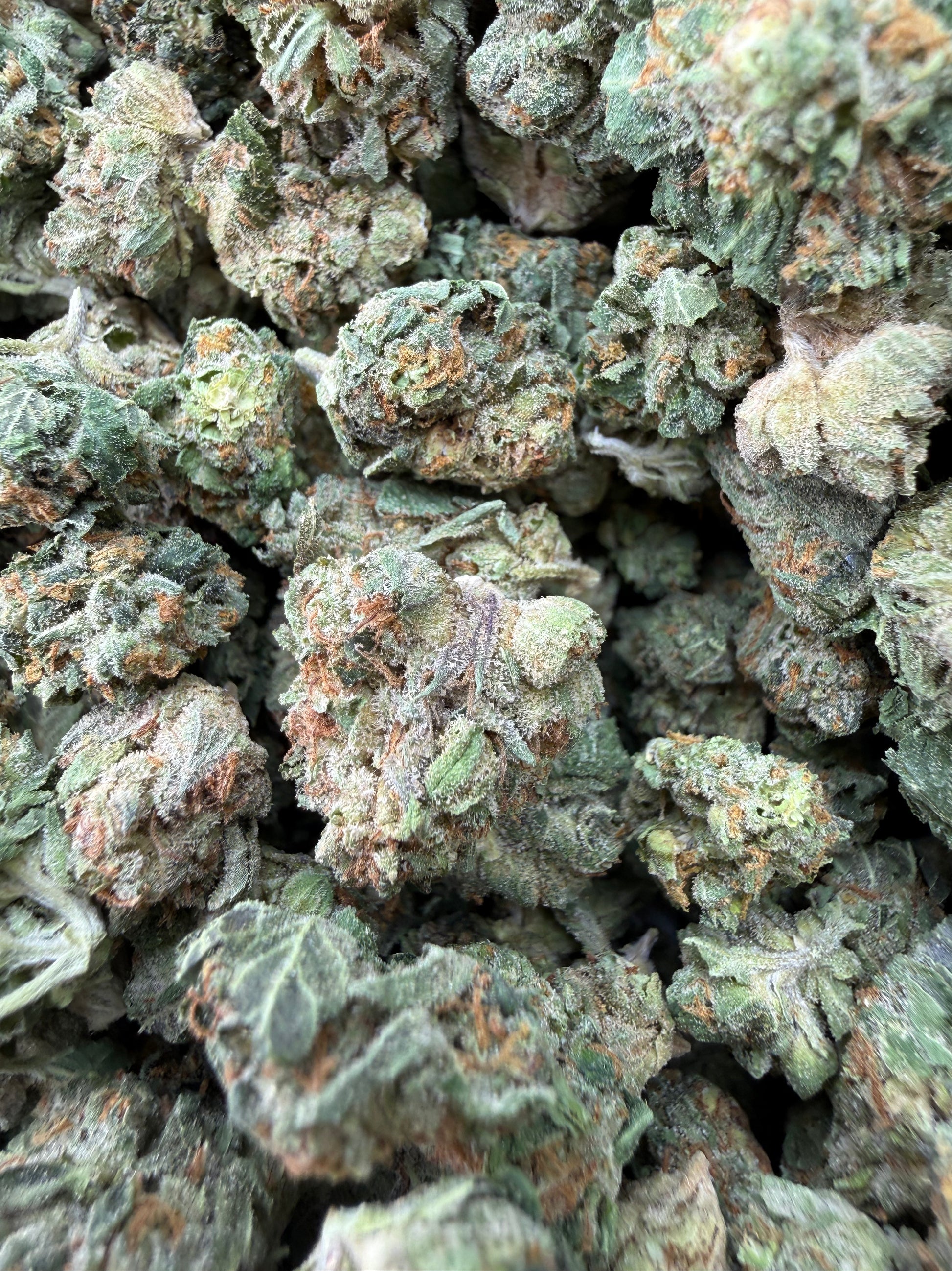 1 Pound - Pink Death Star THCA Strain (Smalls) Frisco Labs