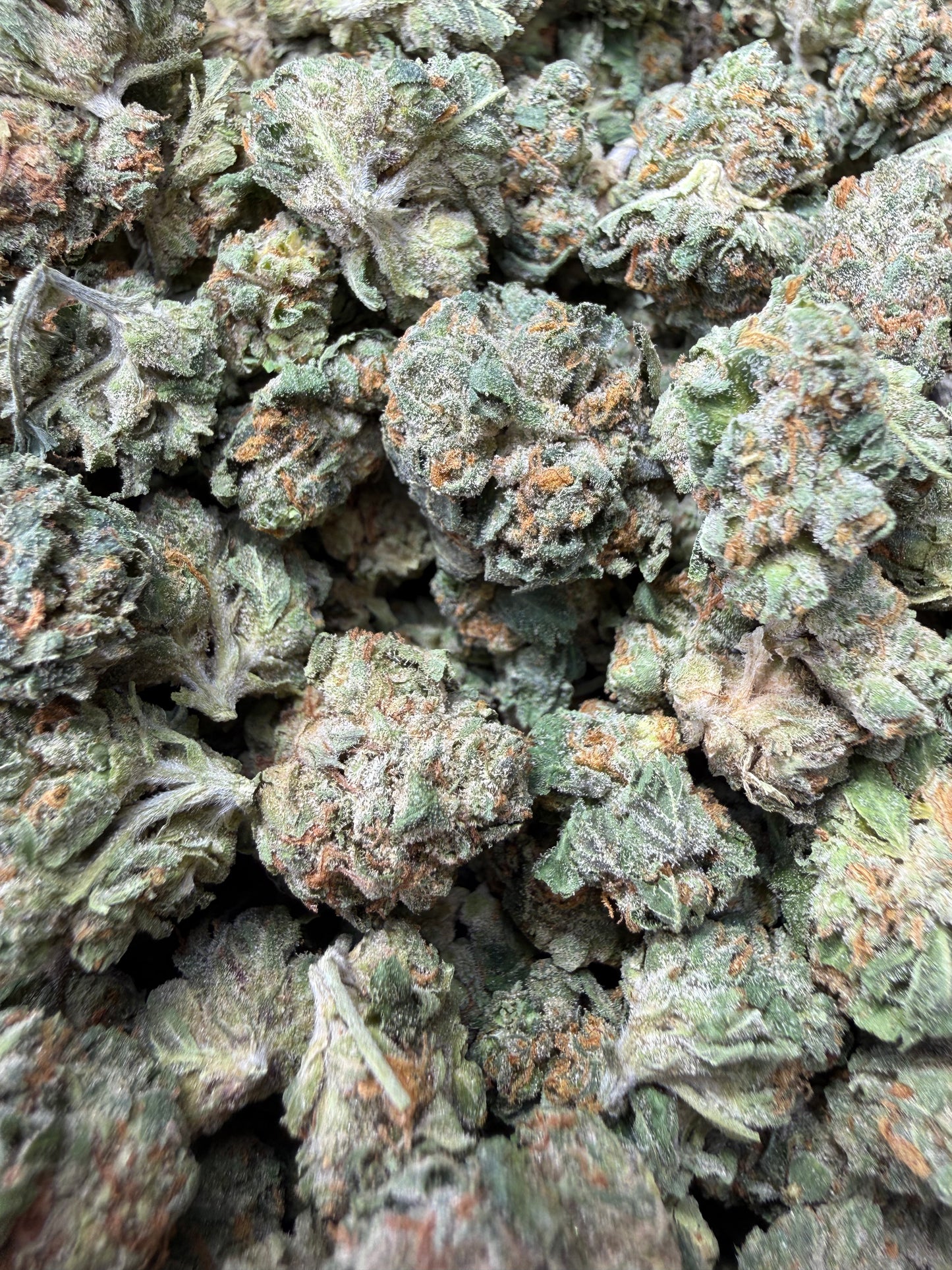 1 Pound - Pink Death Star THCA Strain (Smalls) Frisco Labs