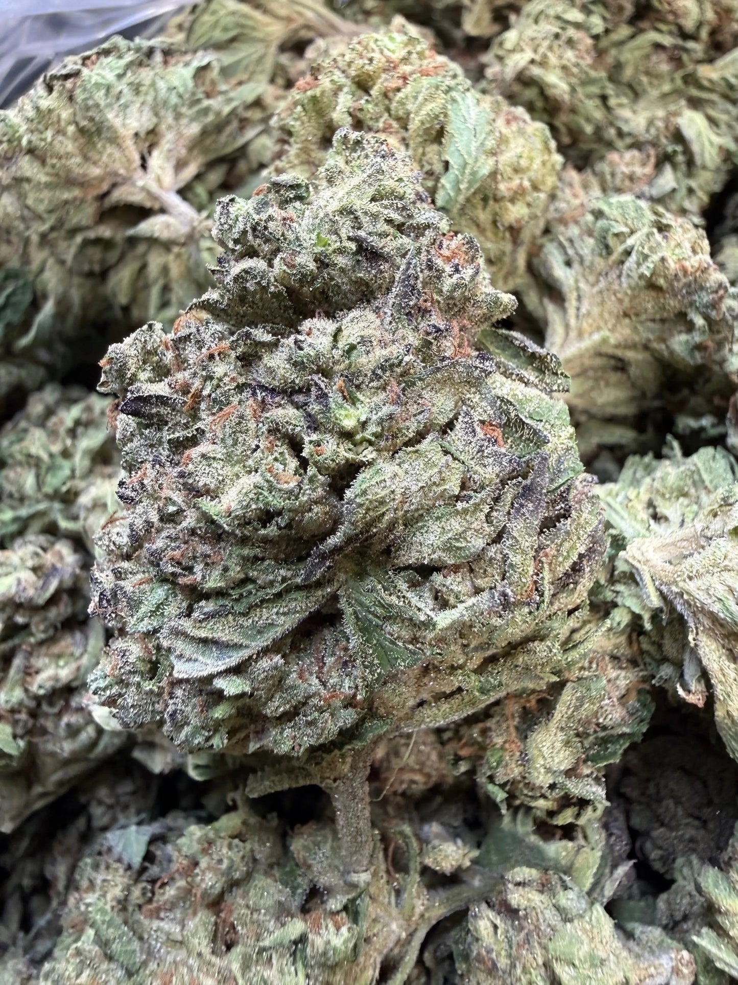 1 Pound - Pink Roze THCA Strain Frisco Labs