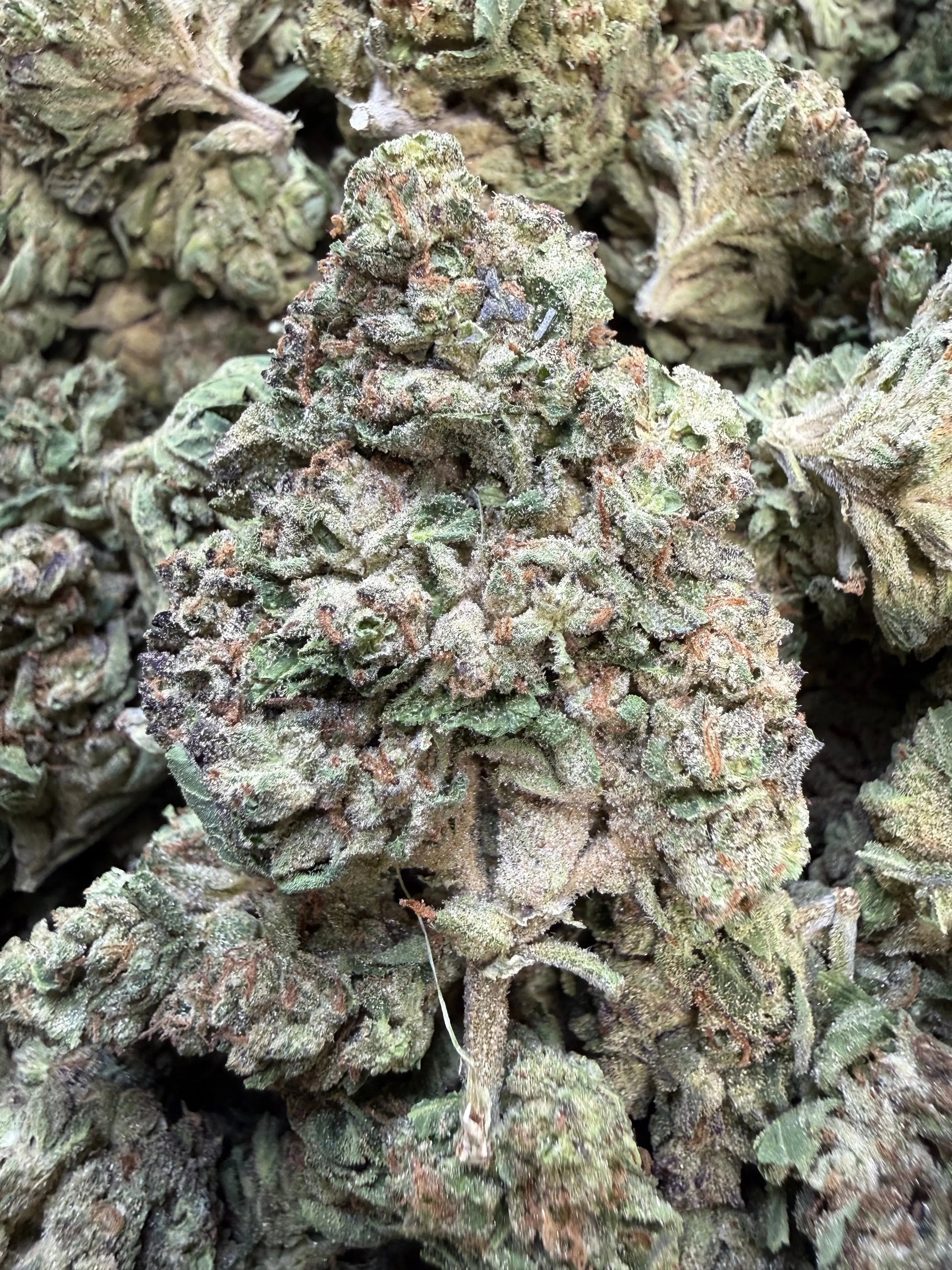 1 Pound - Pink Roze THCA Strain Frisco Labs