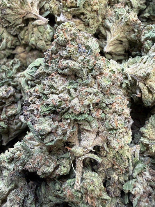 1 Pound - Pink Roze THCA Strain Frisco Labs