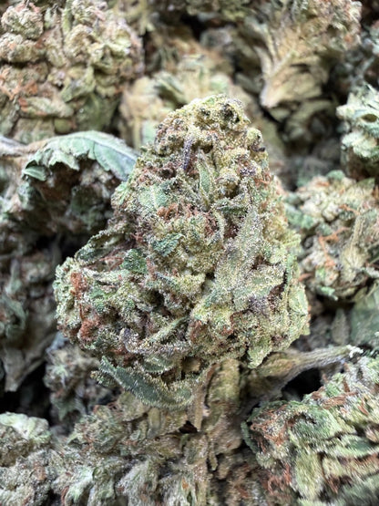 1 Pound - Pink Roze THCA Strain Frisco Labs