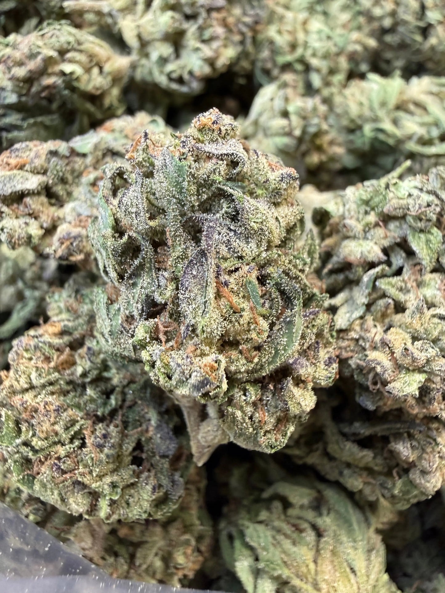 1 Pound - Pink Roze THCA Strain Frisco Labs