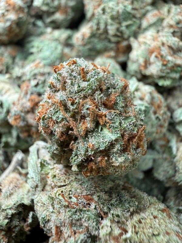 1 Pound - Illemonati Reserve THCA Flower