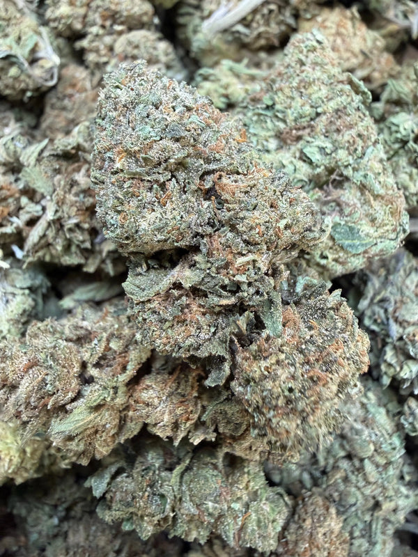 1 Pound - Pinnacle THCA Strain (Budget Buds)