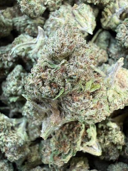 1 Pound Pistachio Creme THCA FL Fulfillment Center