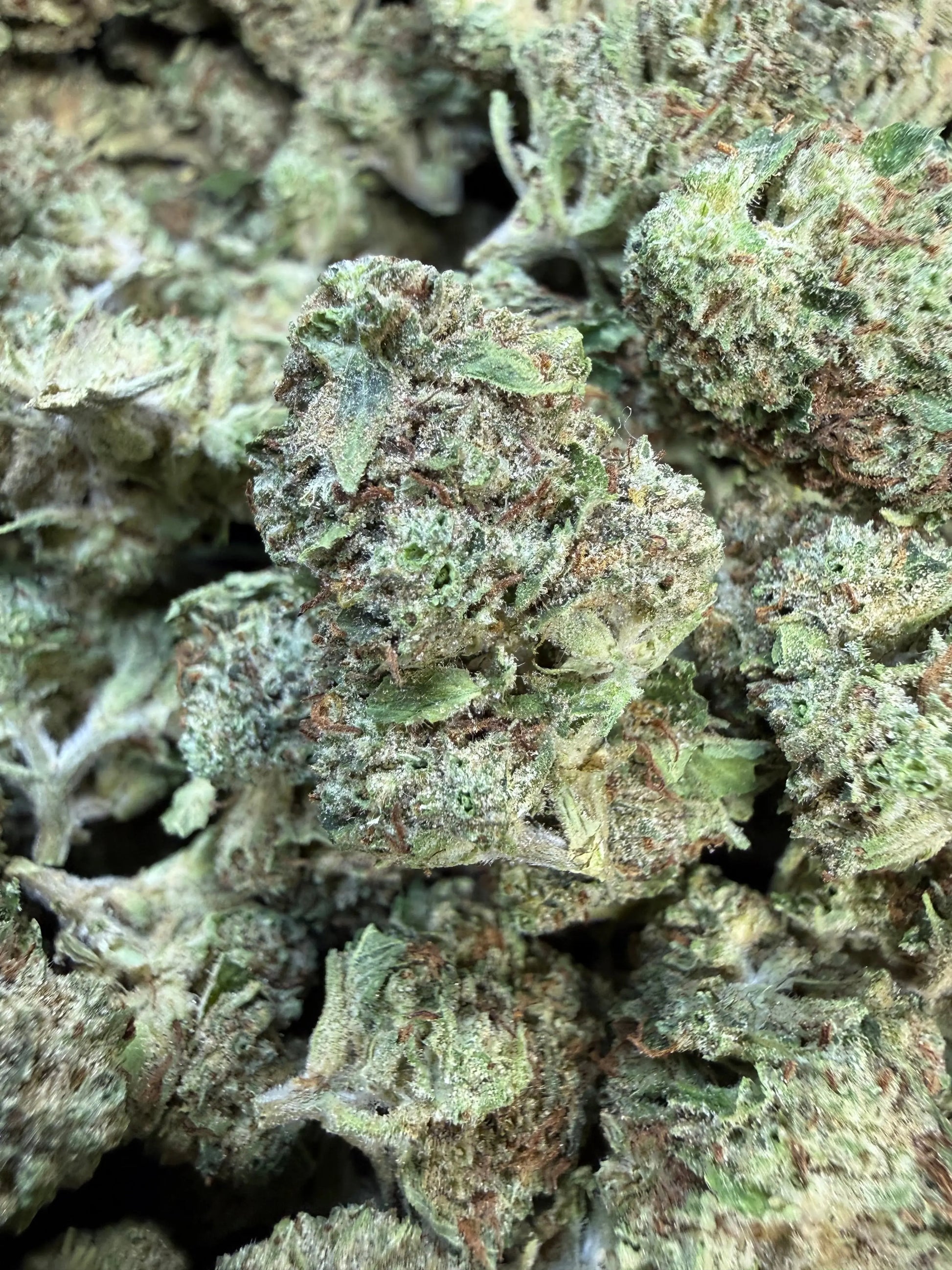 1 Pound Pistachio Creme THCA FL Fulfillment Center