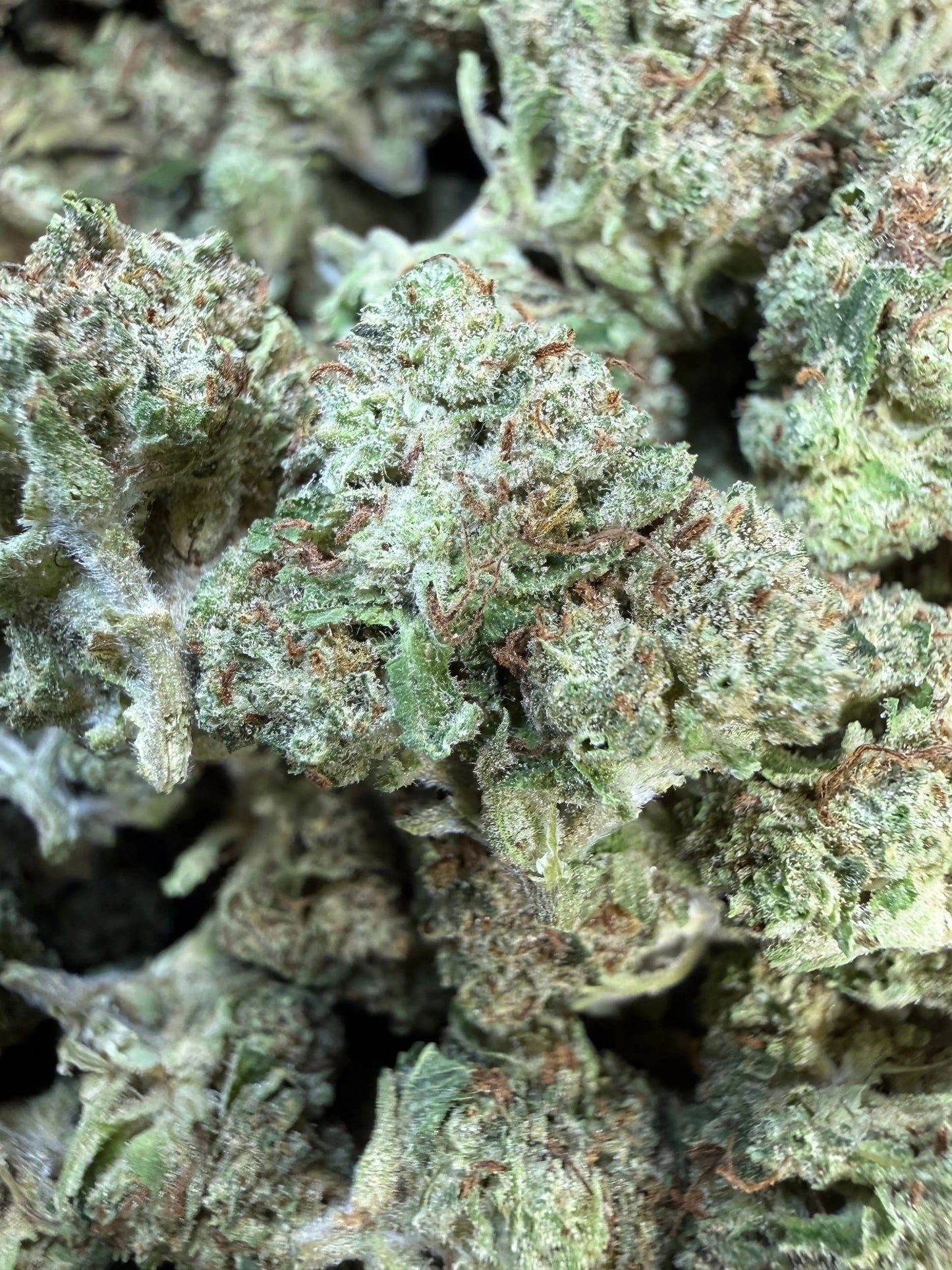 1 Pound Pistachio Creme THCA FL Fulfillment Center