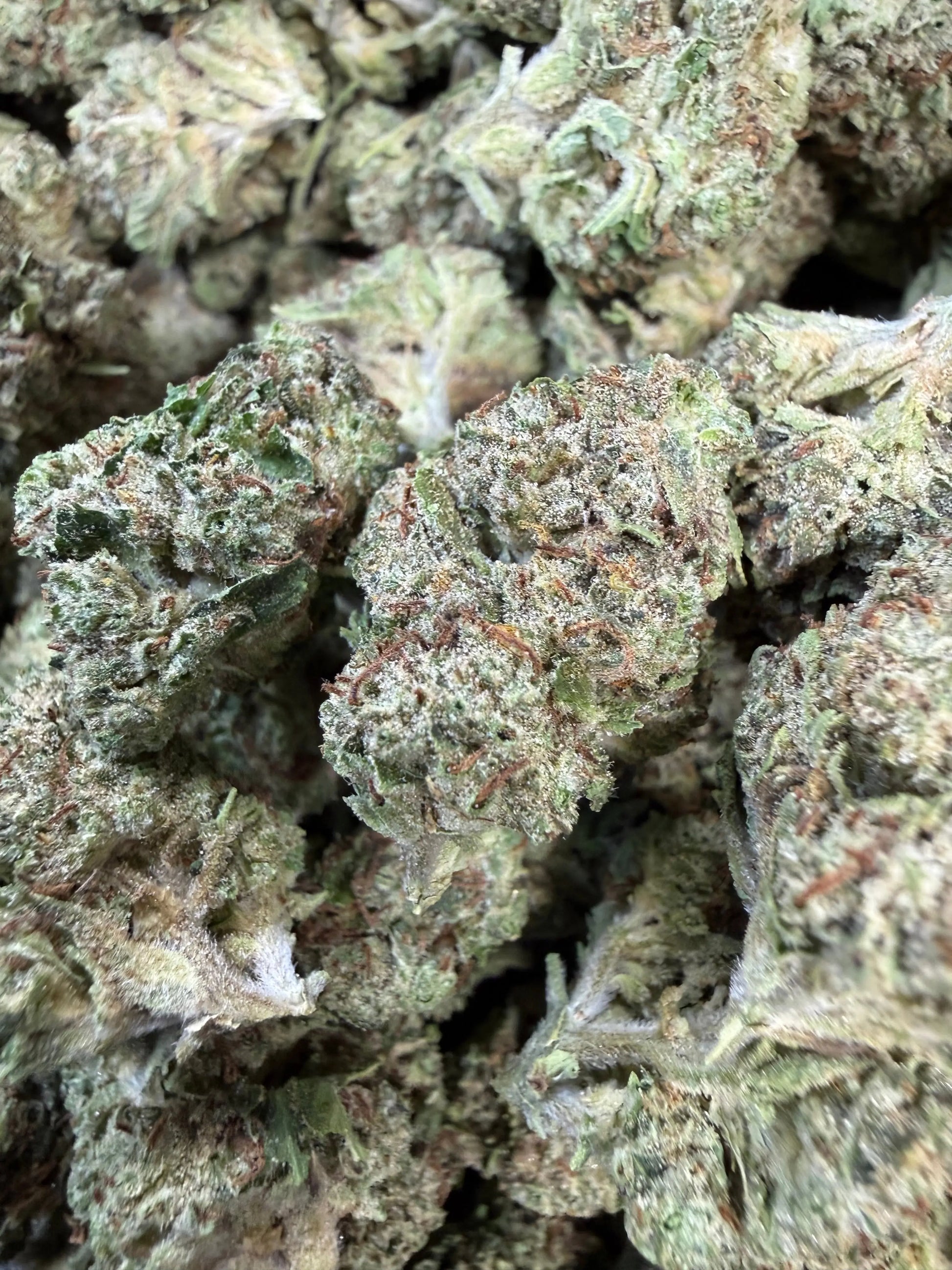 1 Pound Pistachio Creme THCA FL Fulfillment Center