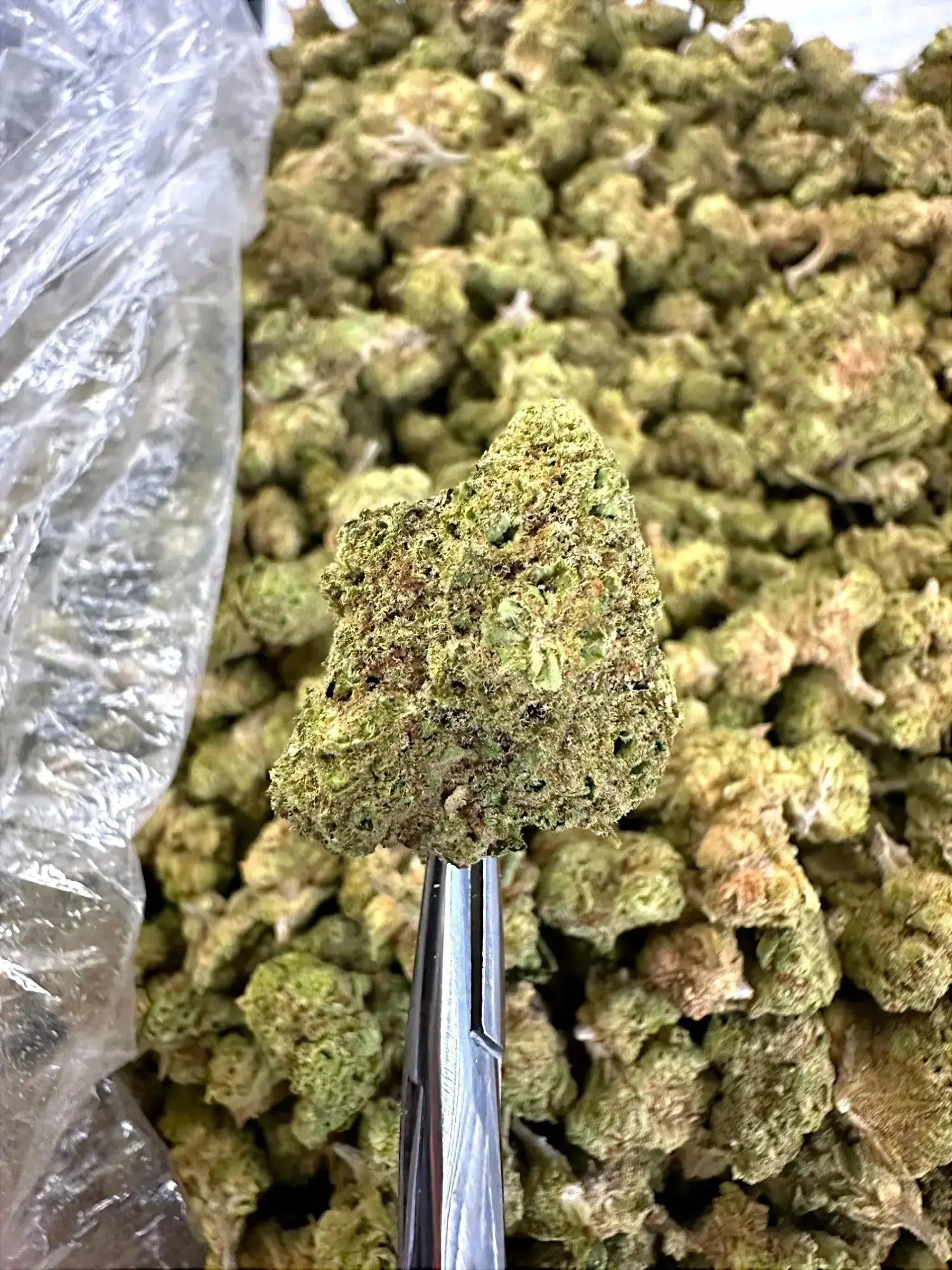 Pure Power Plant THCA Flower For Sale