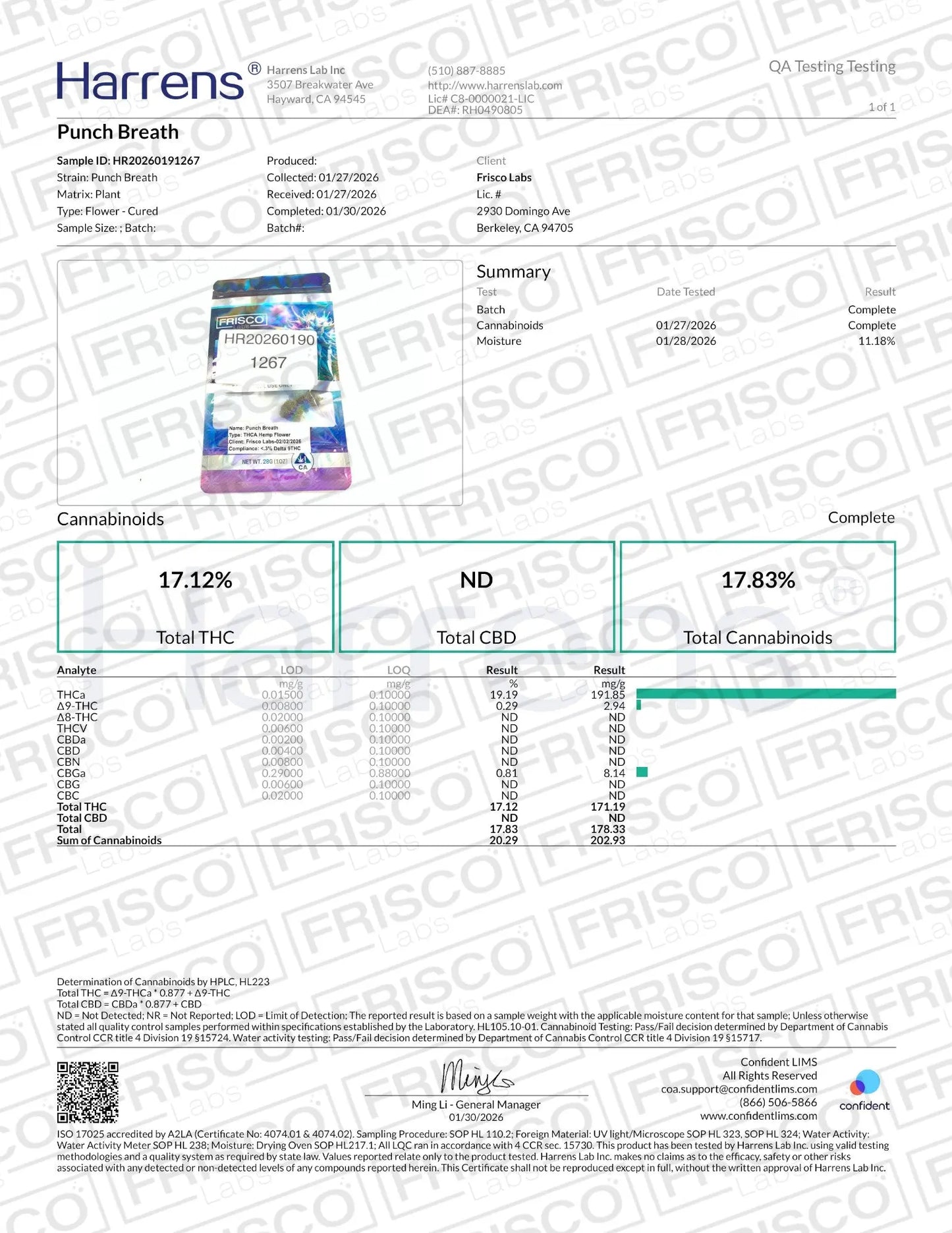 1 Pound - Punch Breath THCA Strain Frisco Labs