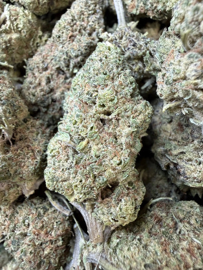 1 Pound - Punch Breath THCA Strain Frisco Labs