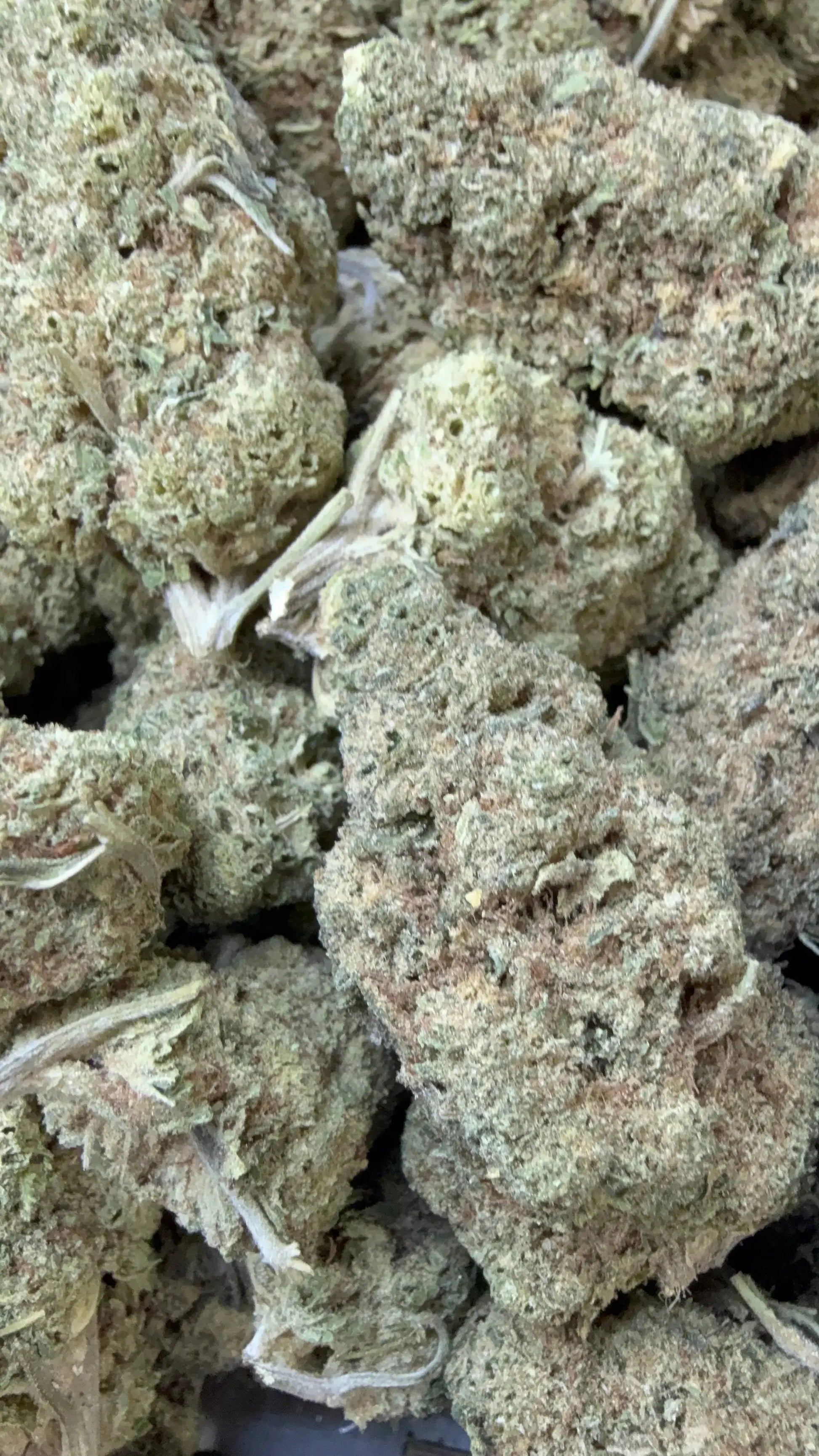 1 Pound - Punch Breath THCA Strain Frisco Labs