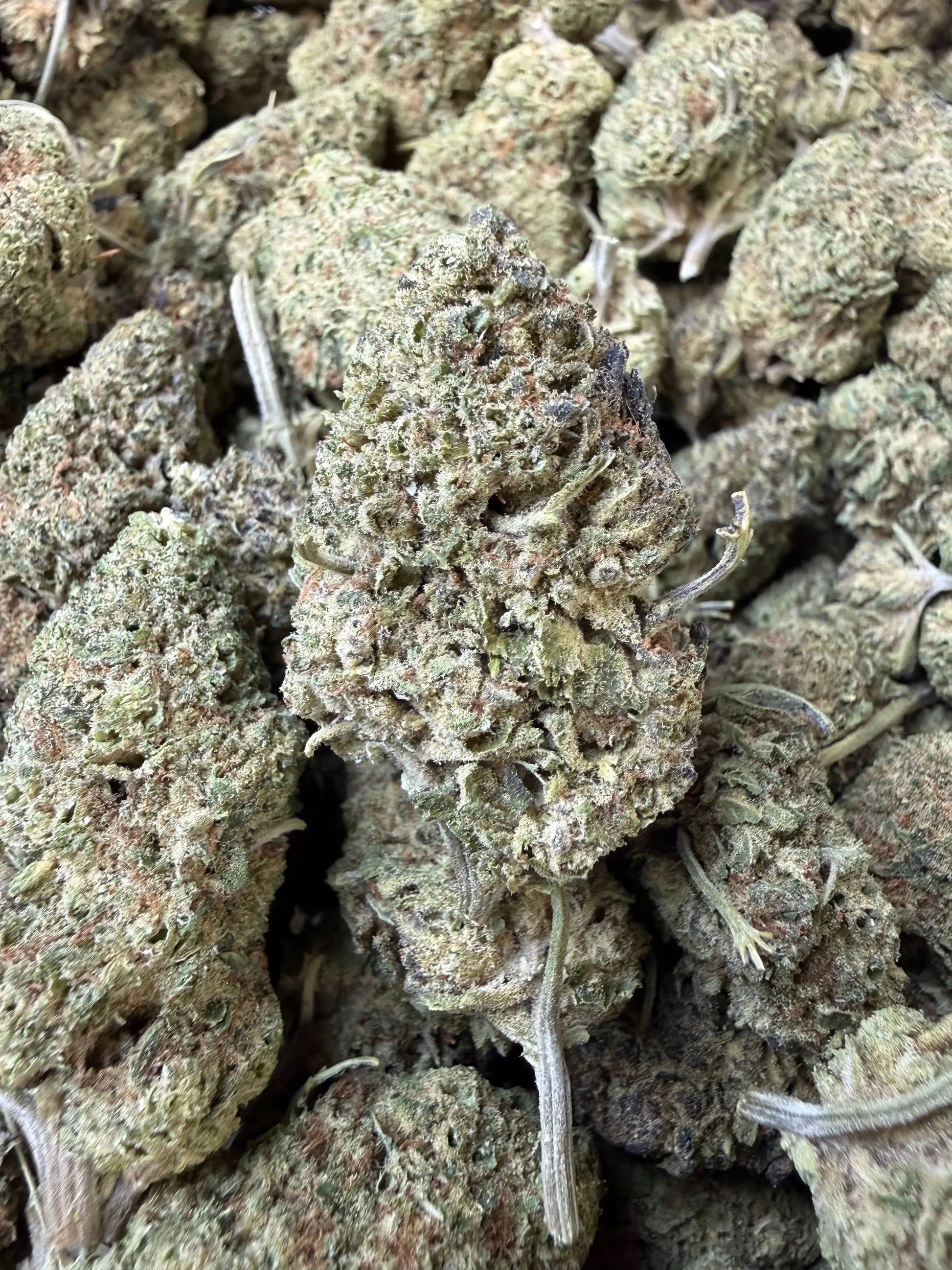 1 Pound - Punch Breath THCA Strain Frisco Labs