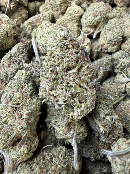 1 Pound - Punch Breath THCA Strain Frisco Labs