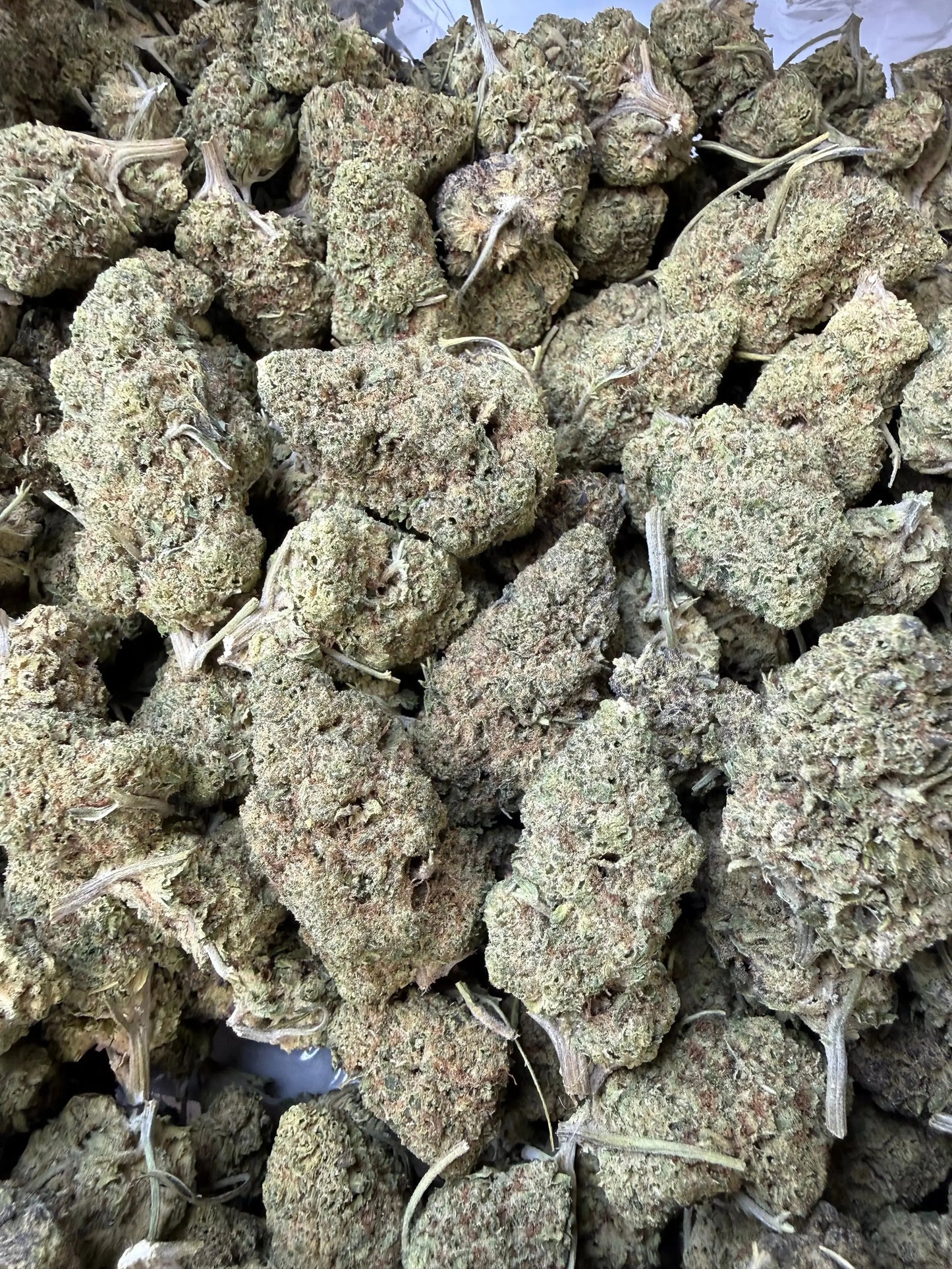 1 Pound - Punch Breath THCA Strain Frisco Labs