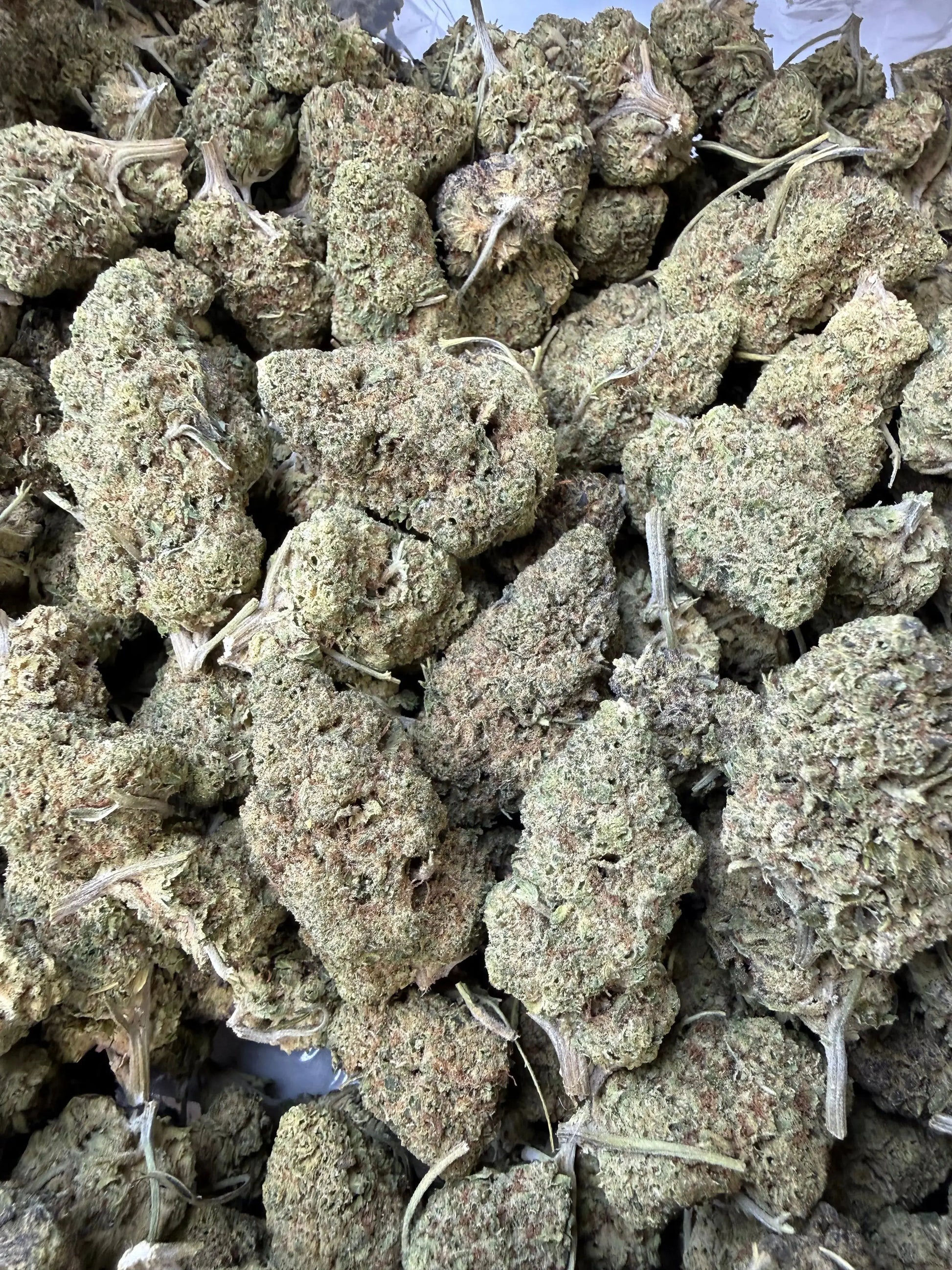 1 Pound - Punch Breath THCA Strain Frisco Labs