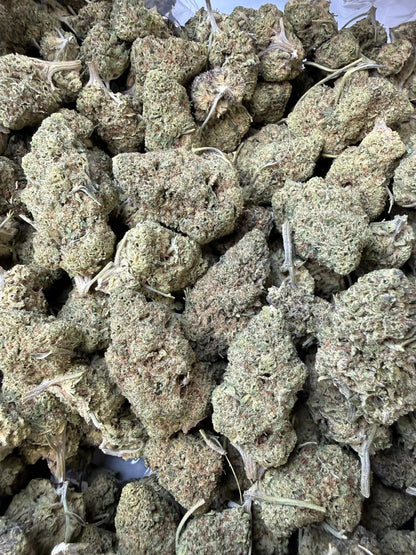 1 Pound - Punch Breath THCA Strain Frisco Labs