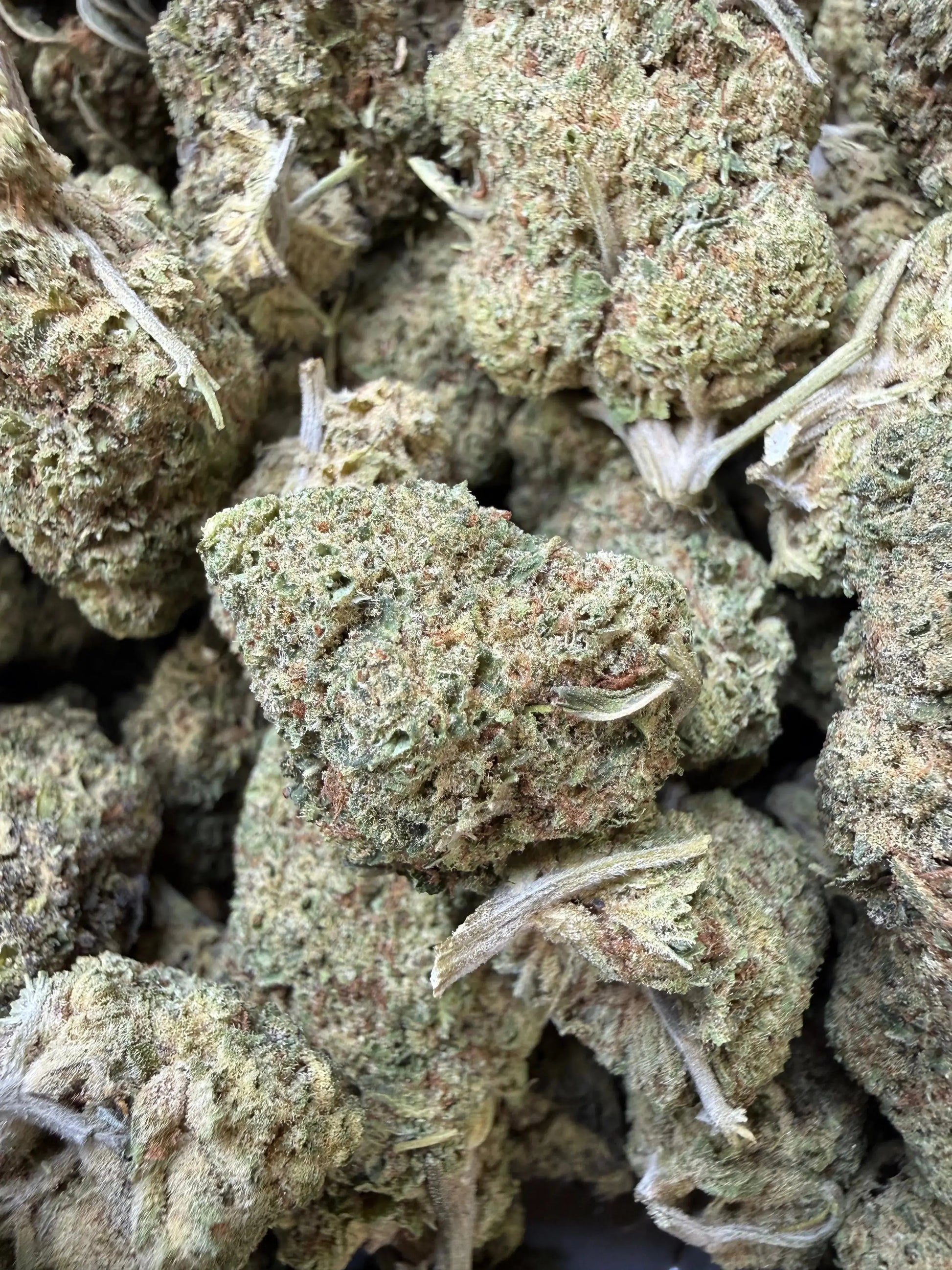 1 Pound - Punch Breath THCA Strain Frisco Labs