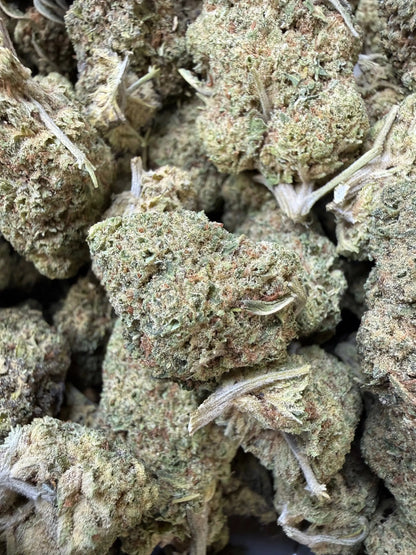 1 Pound - Punch Breath THCA Strain Frisco Labs