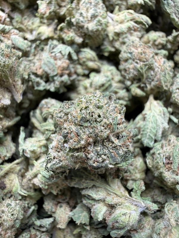 1 Pound - Pure Power Plant THCA Strain (Smalls)