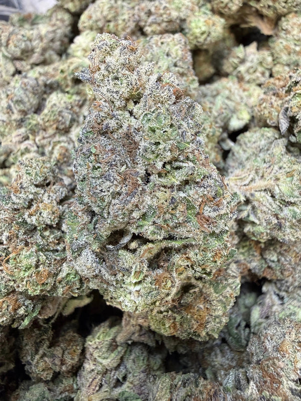 1 Pound - Purple Certz THCA Strain