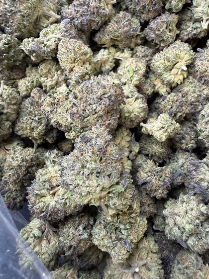 1 Pound - Purple Cream THCA Strain Frisco Labs