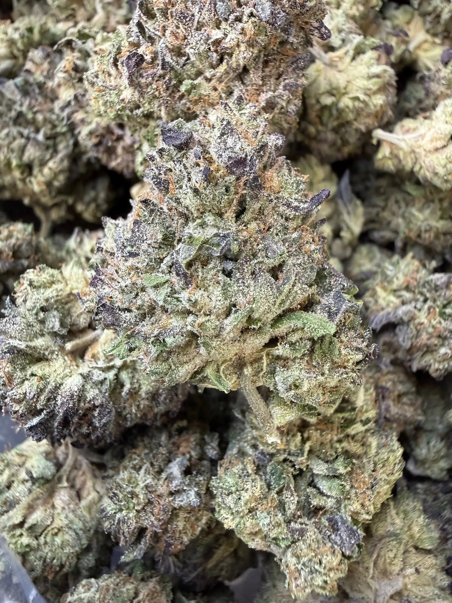 1 Pound - Purple Cream THCA Strain Frisco Labs