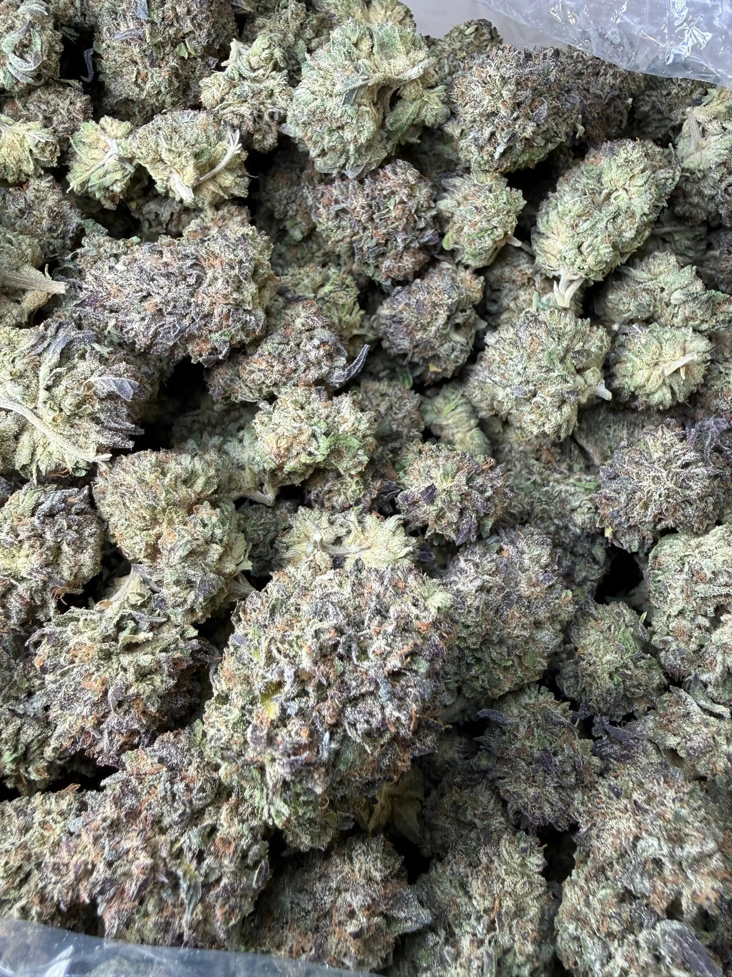 1 Pound - Purple Cream THCA Strain Frisco Labs