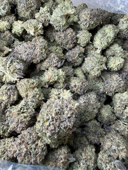 1 Pound - Purple Cream THCA Strain Frisco Labs