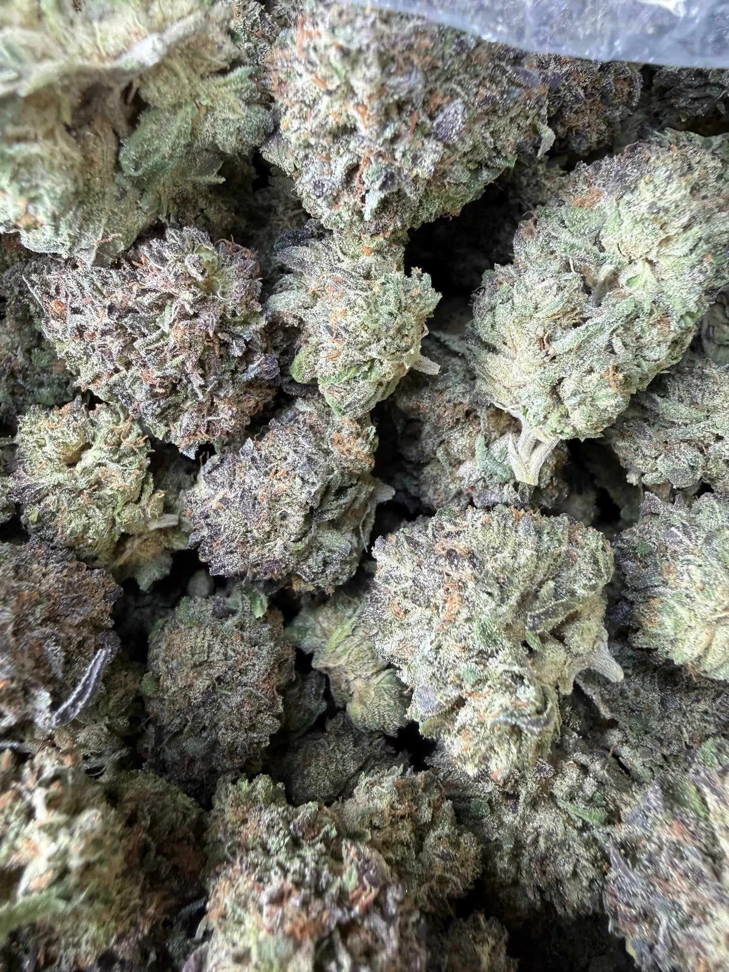 1 Pound - Purple Cream THCA Strain Frisco Labs