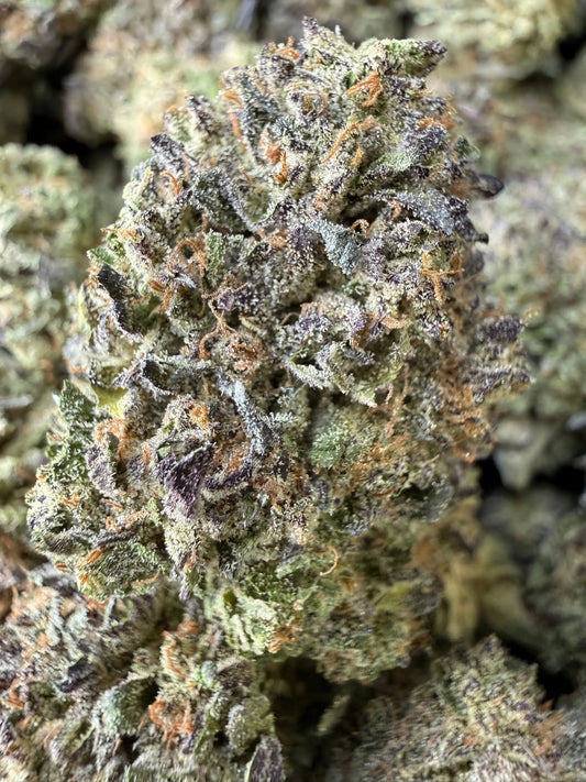 1 Pound - Purple Cream THCA Strain Frisco Labs