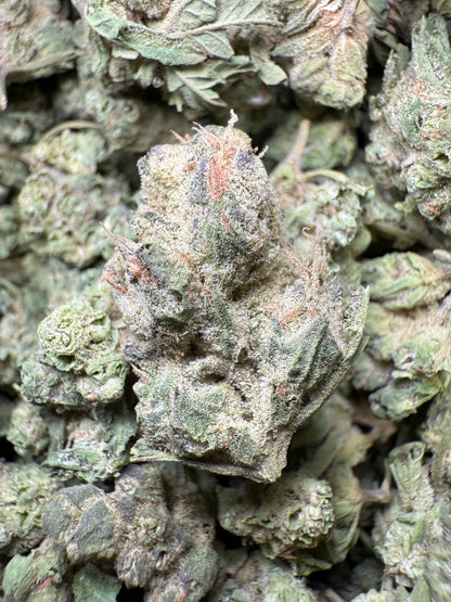 1 Pound - Pink Rozay THCA Strain (Small) Frisco Labs