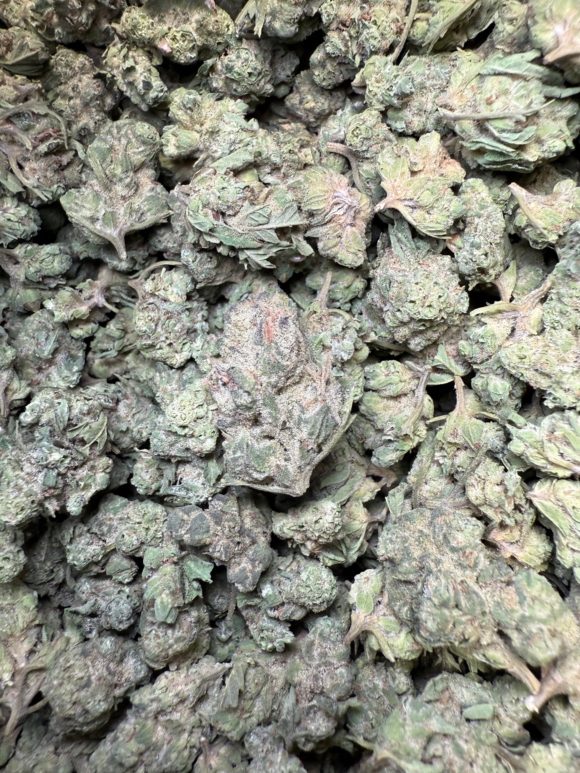 1 Pound - Pink Rozay THCA Strain (Small) Frisco Labs