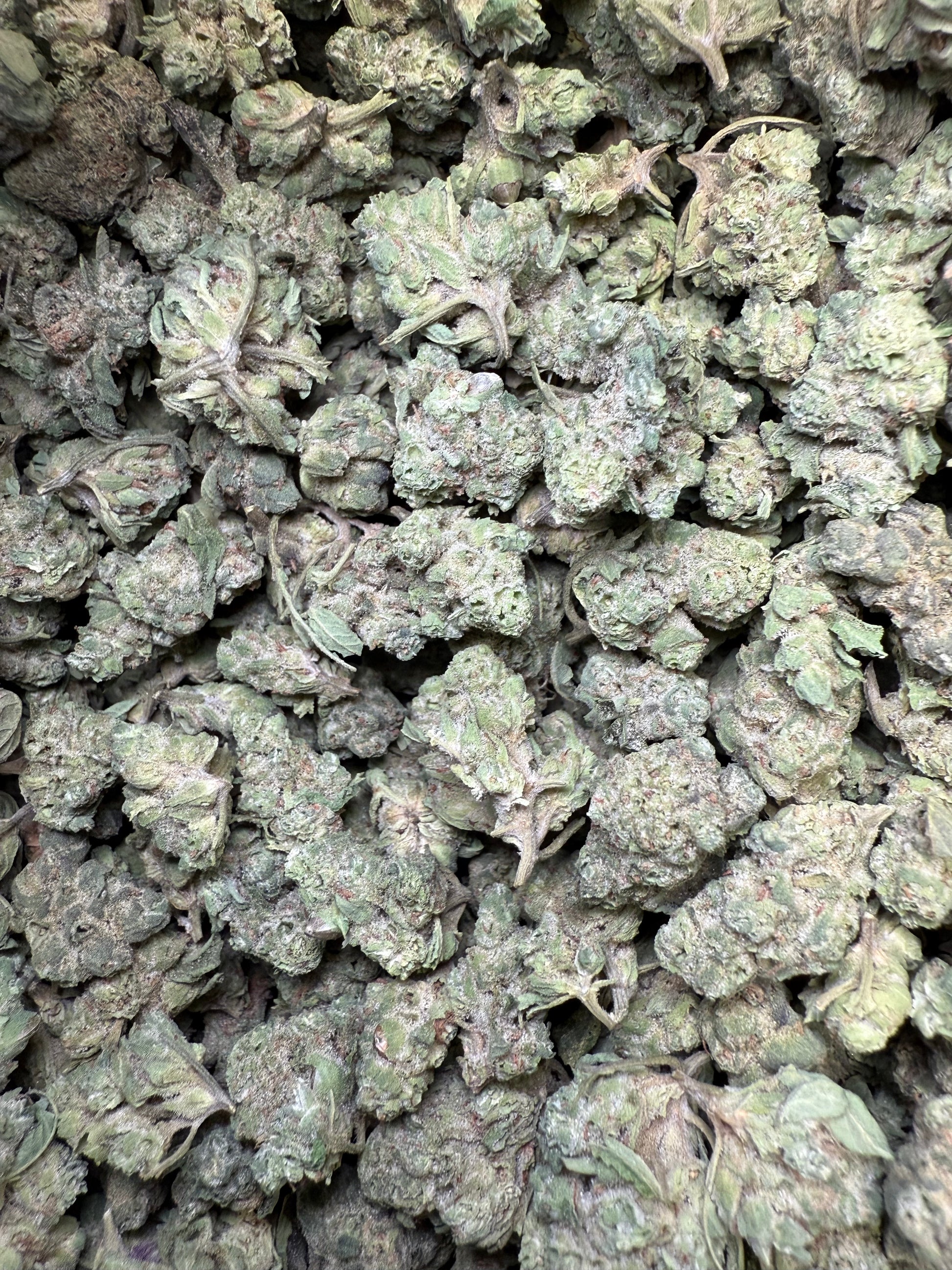 1 Pound - Pink Rozay THCA Strain (Small) Frisco Labs