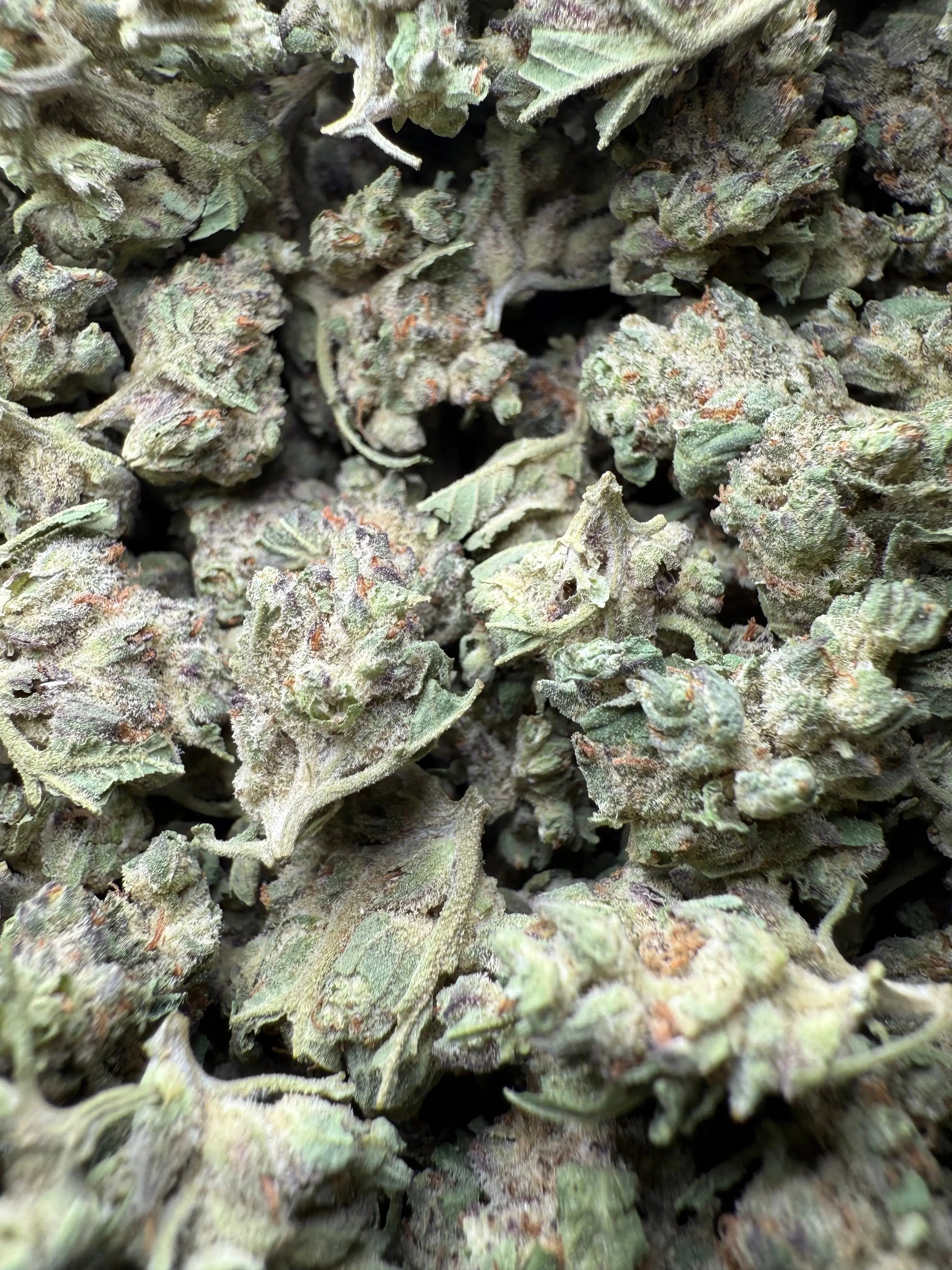 1 Pound - Purple Haze THCA Strain (Small) Frisco Labs