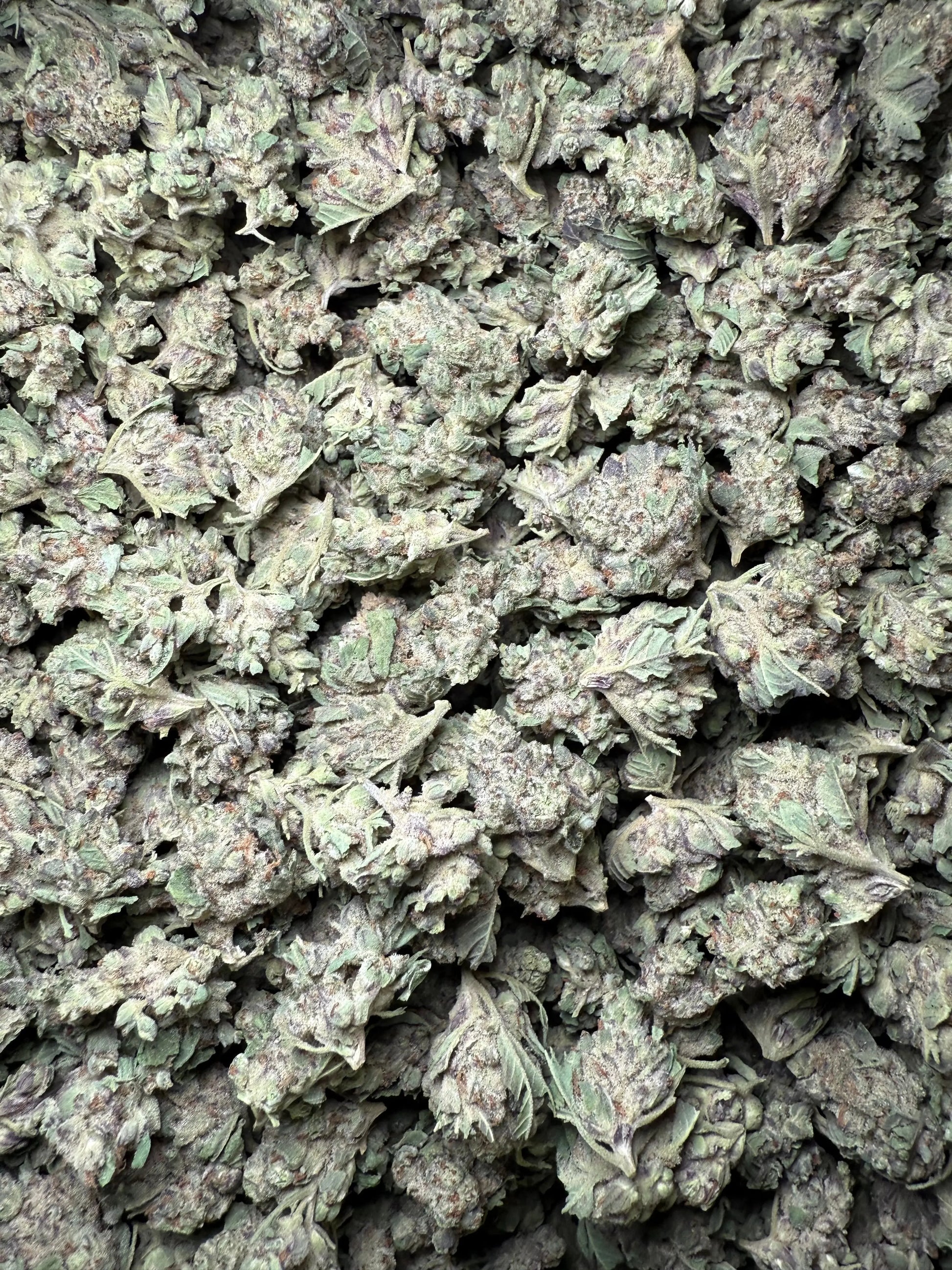 1 Pound - Purple Haze THCA Strain (Small) Frisco Labs