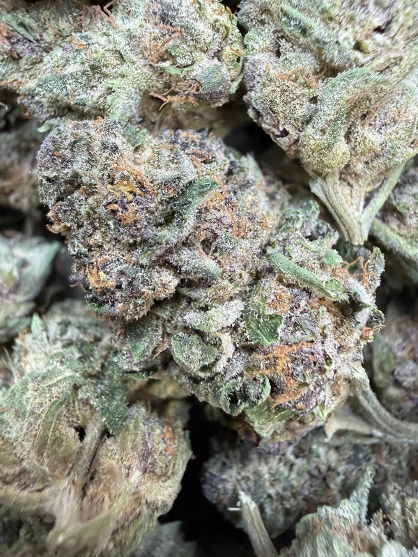 1 Pound - Purple Sunset BX2 THCA Flower