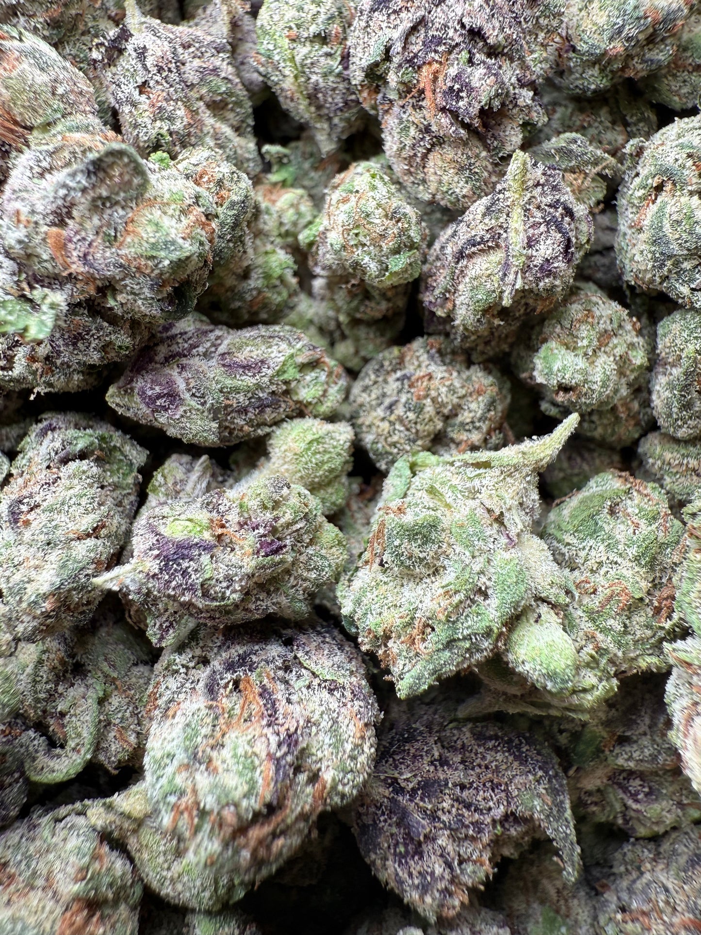 1 Pound - Runtz Small FL Fulfillment Center