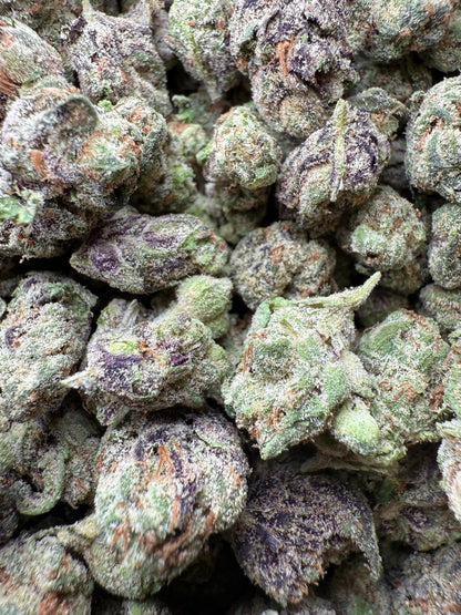 1 Pound - Runtz Small FL Fulfillment Center